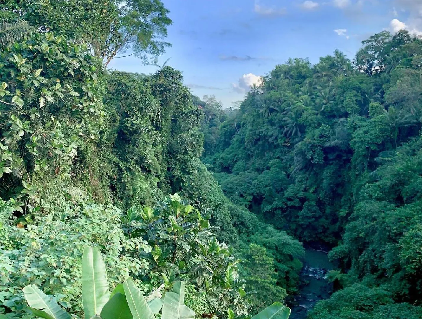 Ubud Jungle River location